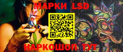 индика Заволжье