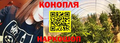 соль ск Заводоуковск