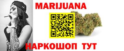 индика Заволжье