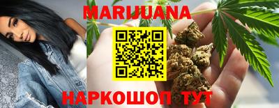 индика Заволжье