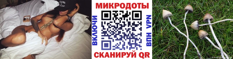 Псилоцибиновые грибы Psilocybe  сайты даркнета Telegram  Новочебоксарск  МЕГА зеркало 