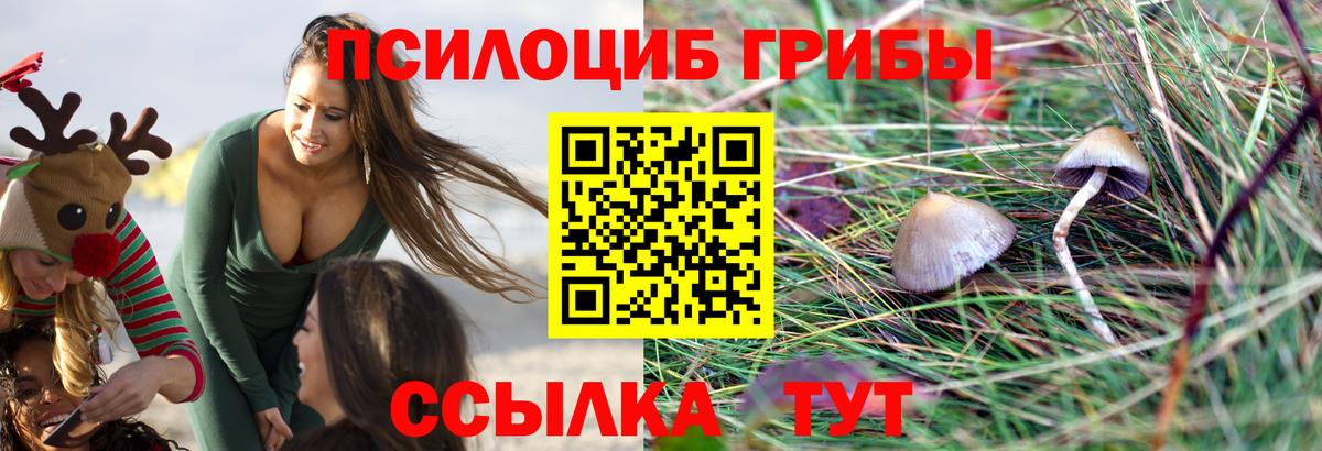 Галлюциногенные грибы мицелий Новочебоксарск