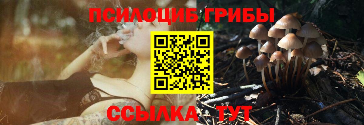 Новочебоксарск  Псилоцибиновые грибы Magic Shrooms  Псилоцибиновые грибы Magic Shrooms  Вход с VPN 